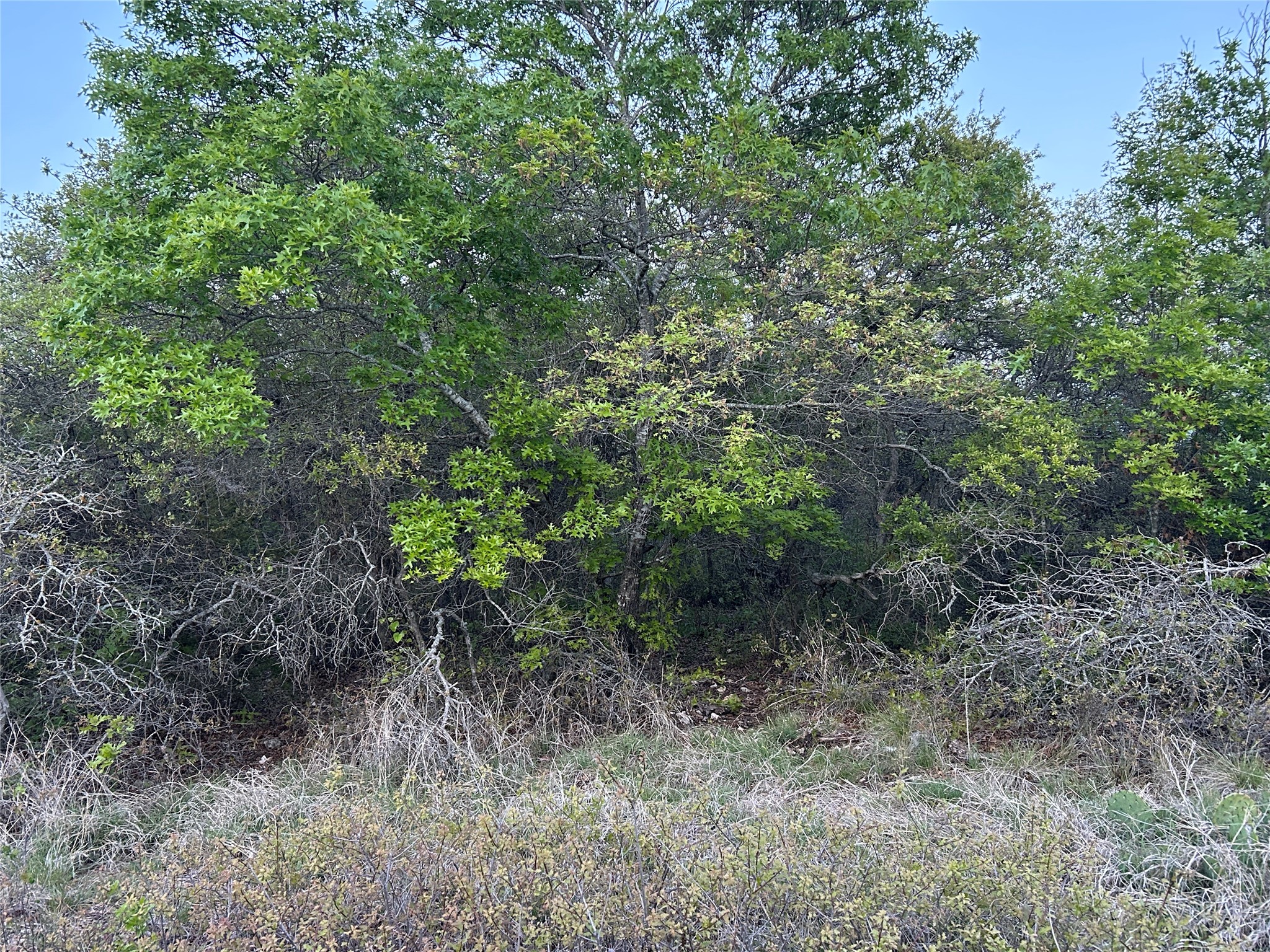 198 County Road 259 Goldthwaite TX 76844