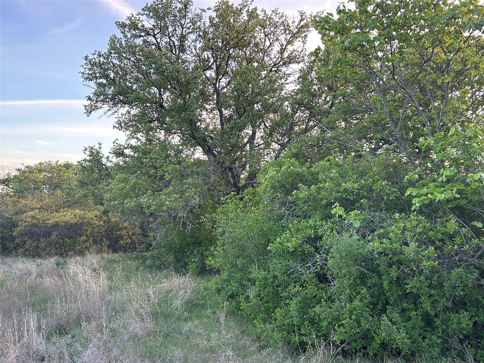 198 County Road 259 Goldthwaite TX 76844
