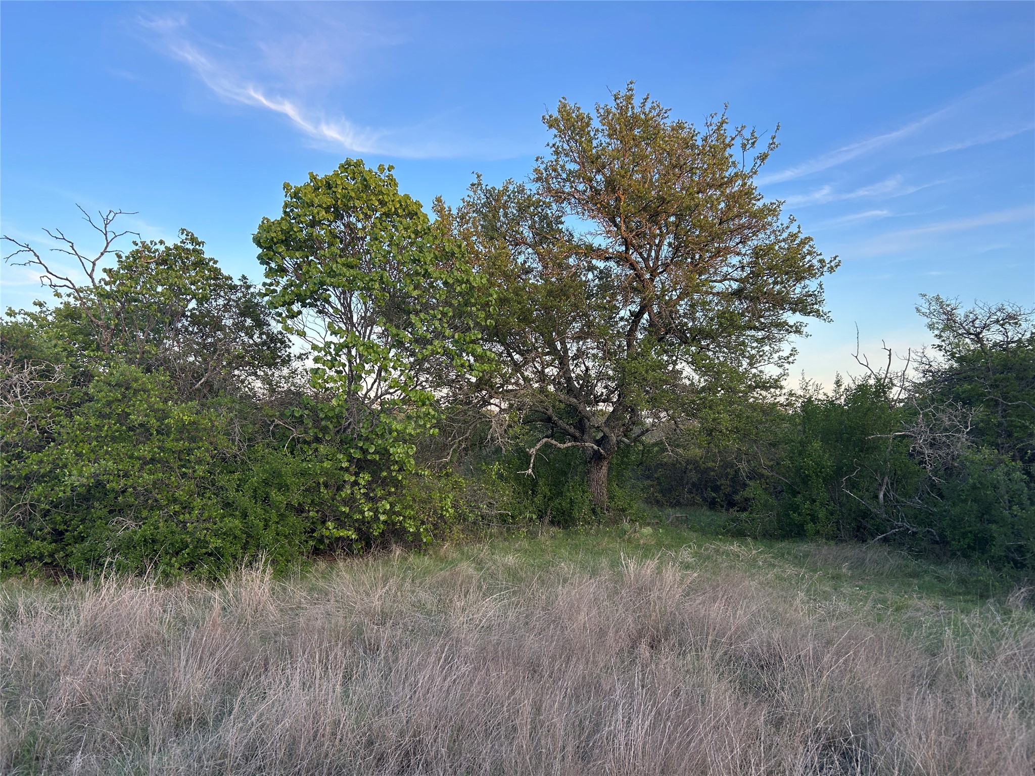 198 County Road 259 Goldthwaite TX 76844