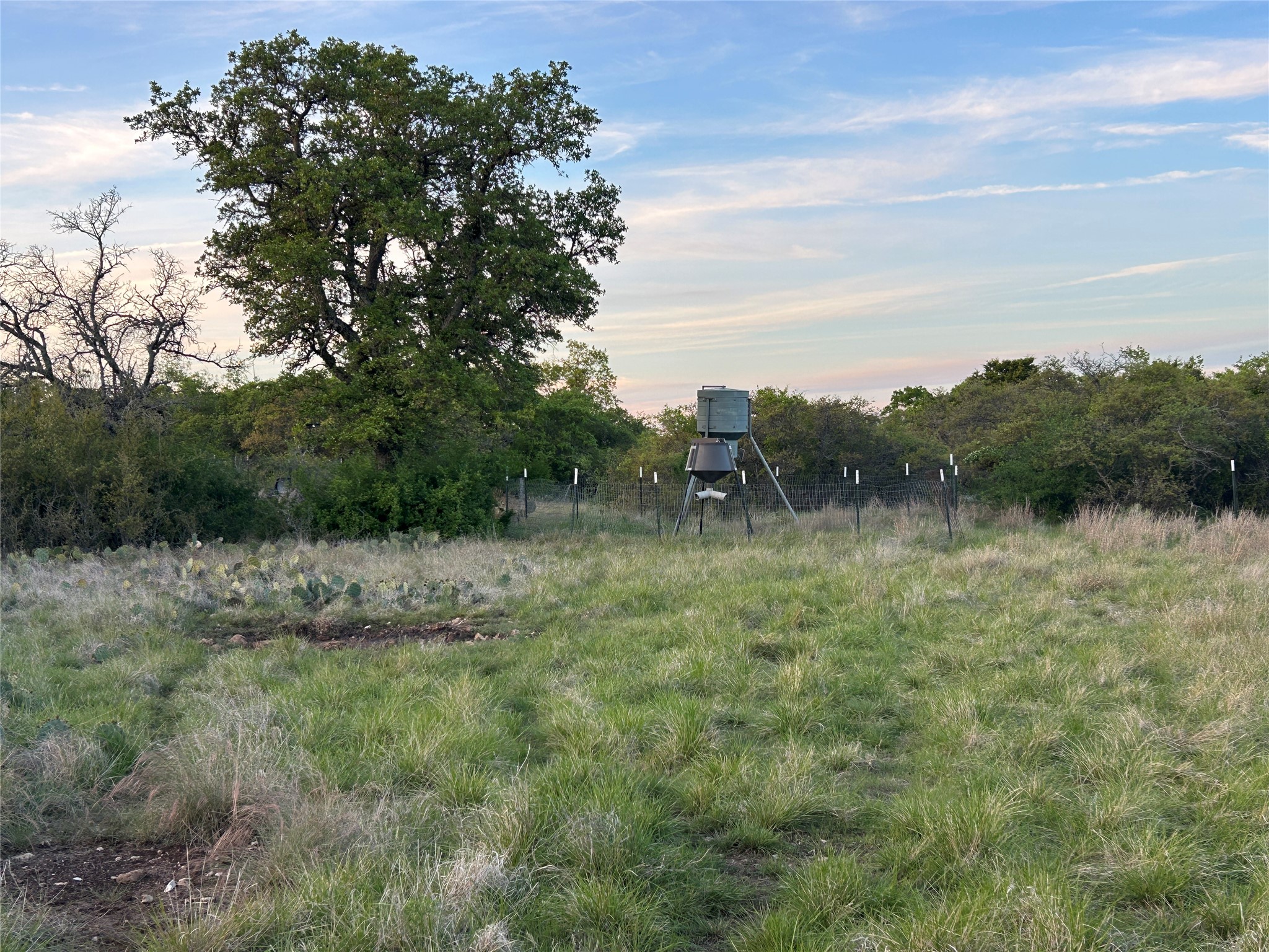 198 County Road 259 Goldthwaite TX 76844
