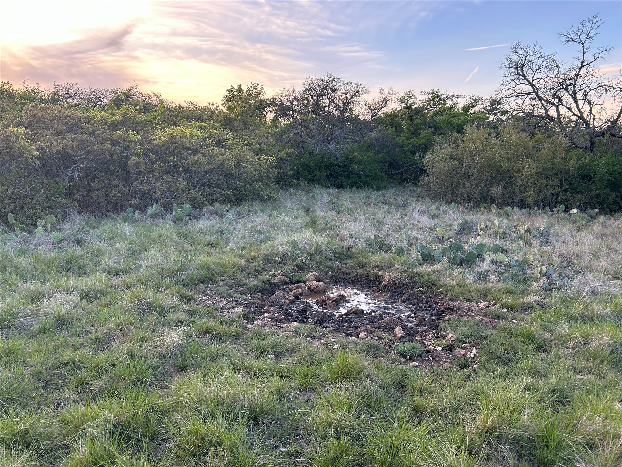 198 County Road 259 Goldthwaite TX 76844