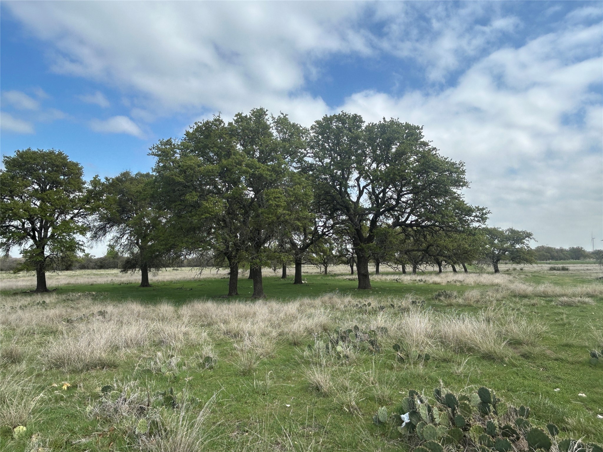 198 County Road 259 Goldthwaite TX 76844