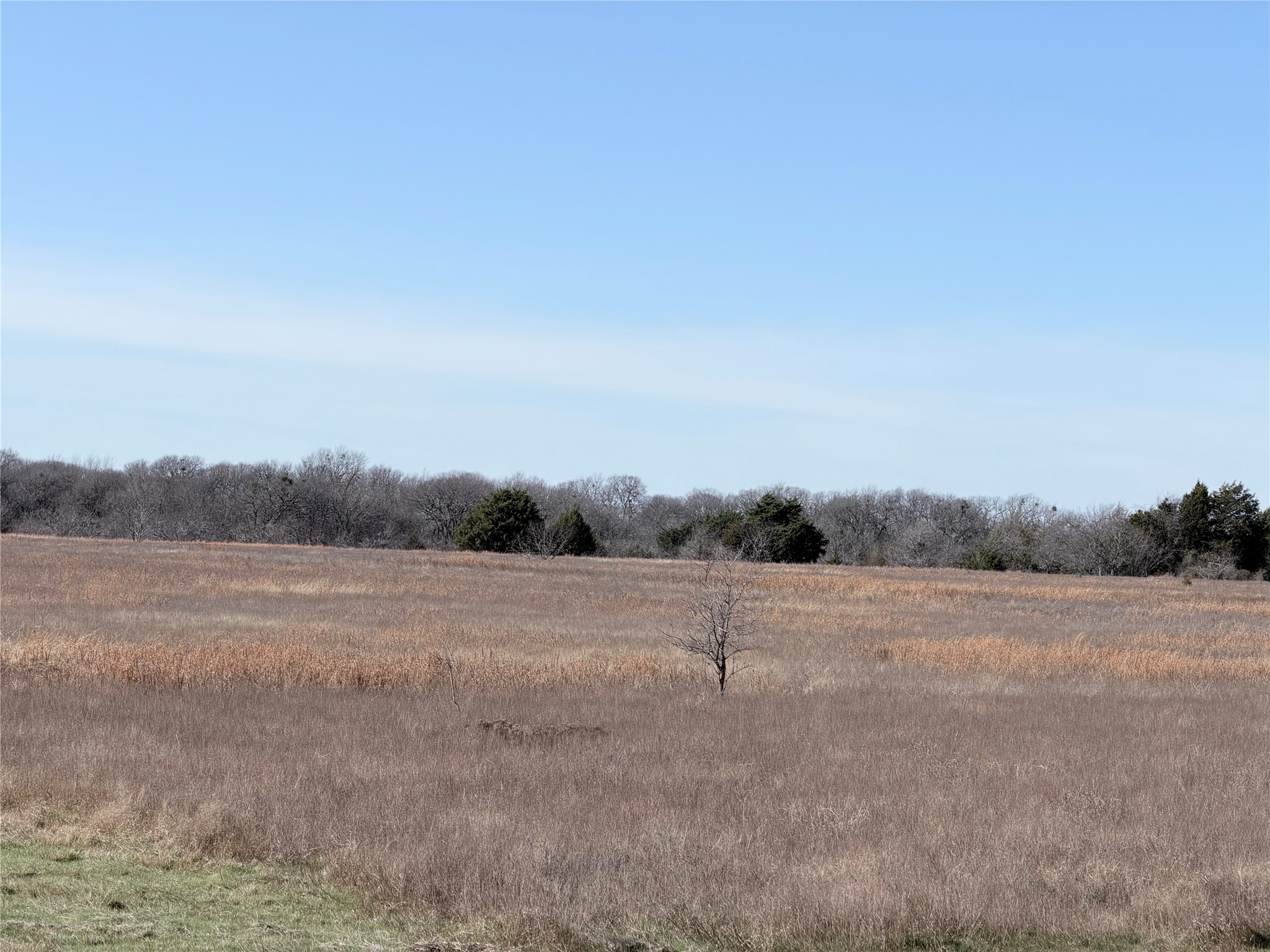 Tbd NE County Road 2140 Kerens TX 75144