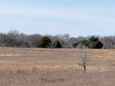 Tbd NE County Road 2140 Kerens TX 75144