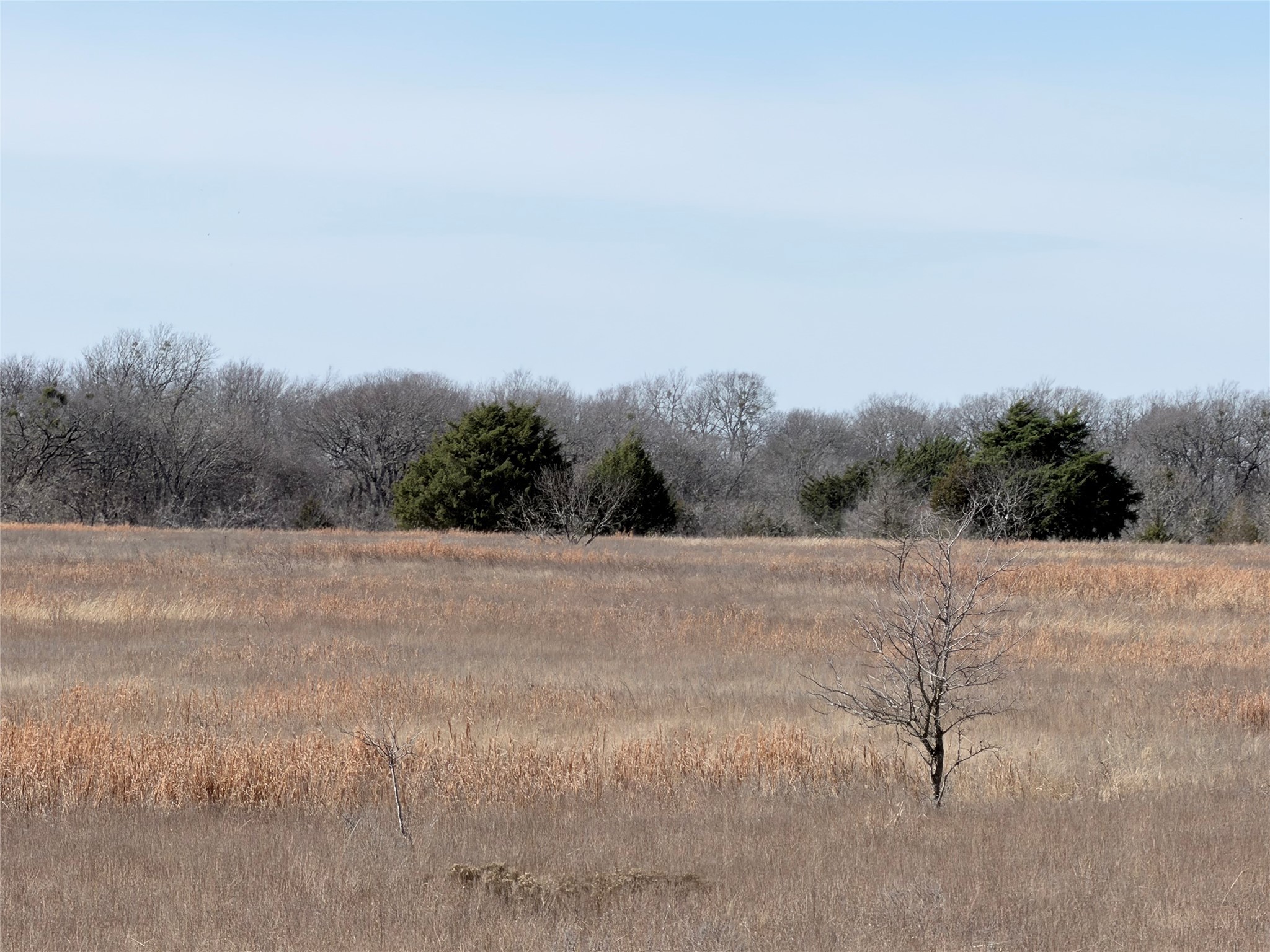 Tbd NE County Road 2140 Kerens TX 75144