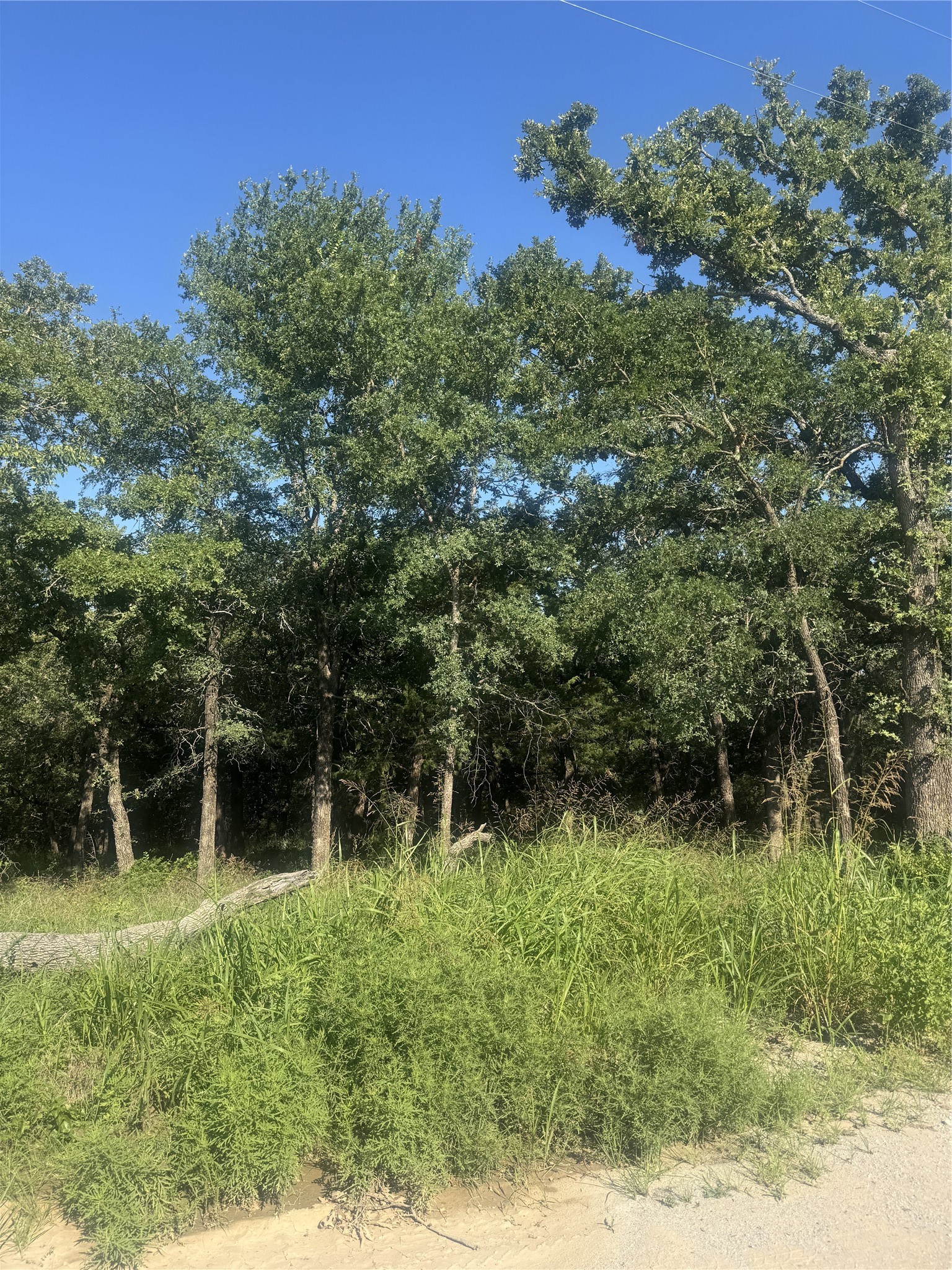 500 Pr 3204 Bridgeport TX 76426