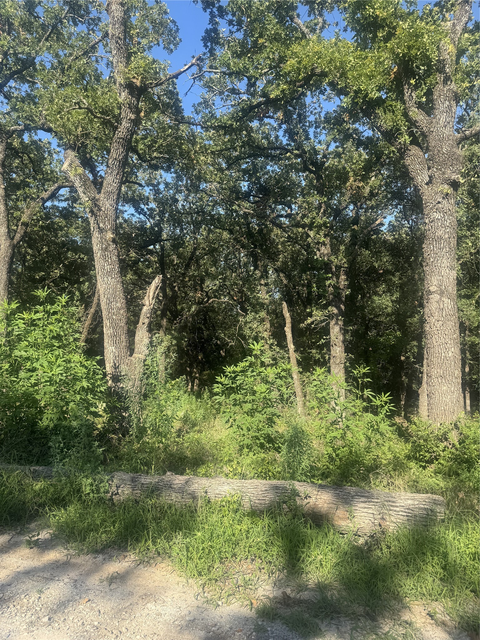 500 Pr 3204 Bridgeport TX 76426