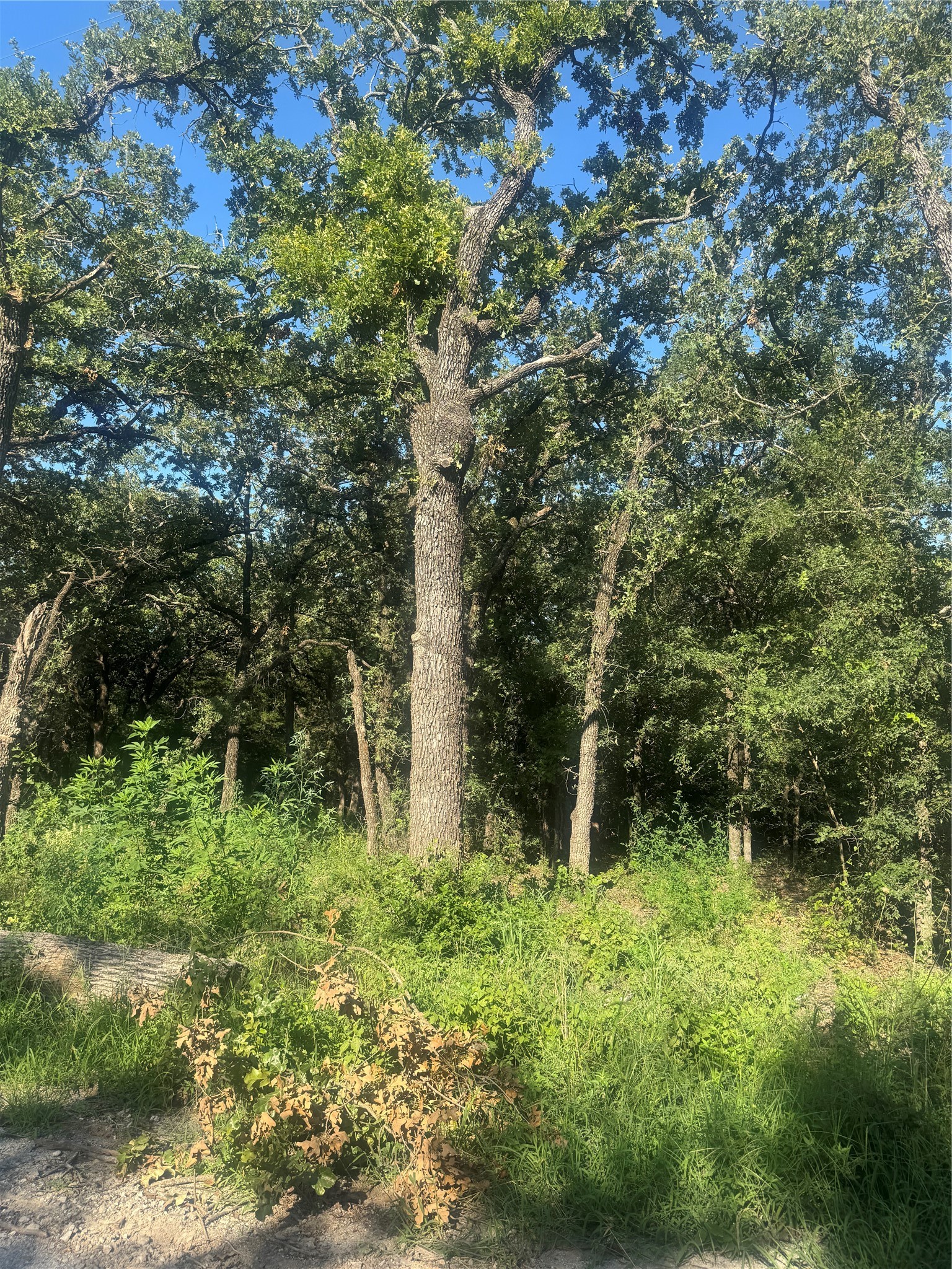 500 Pr 3204 Bridgeport TX 76426