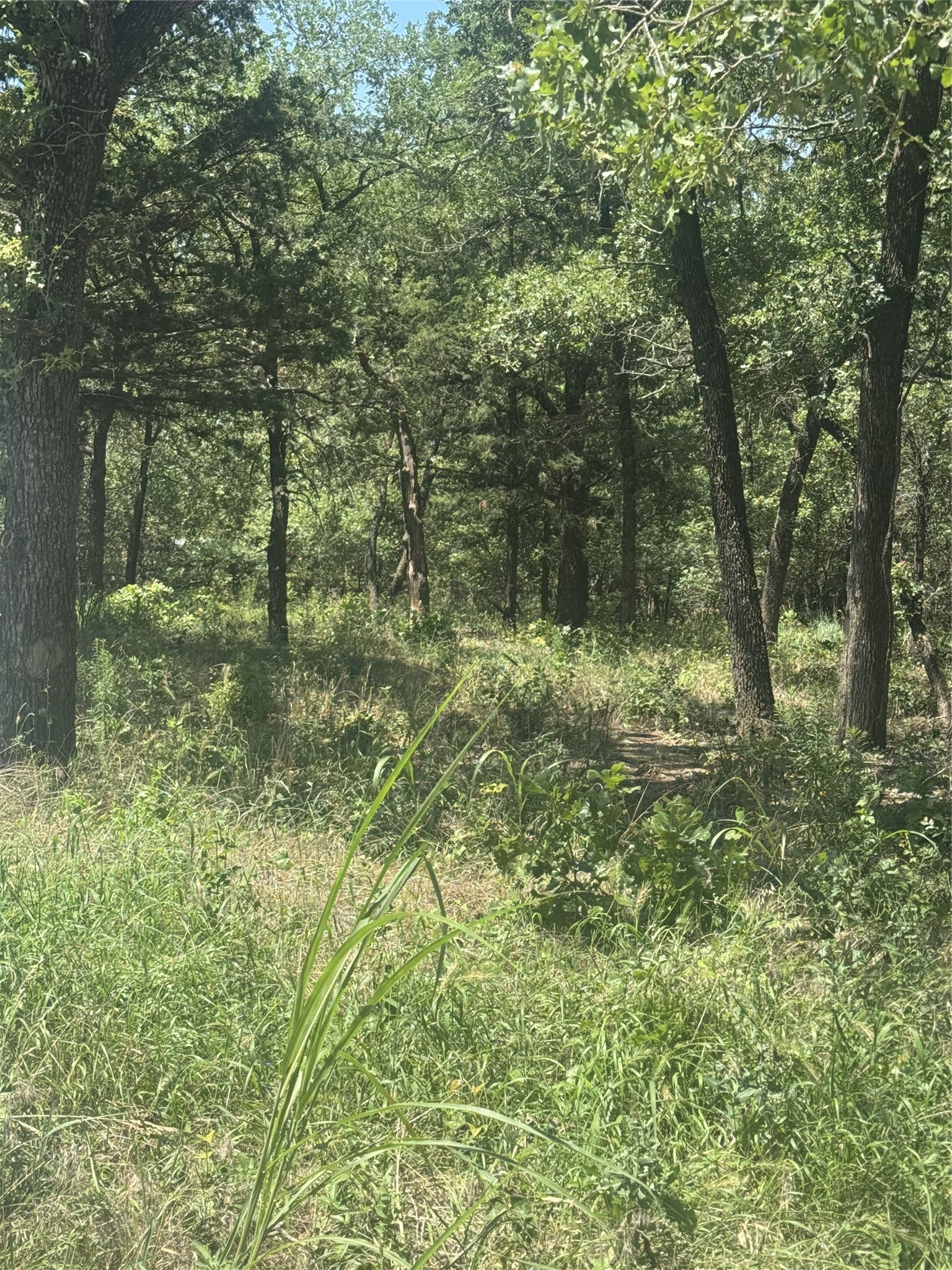 500 Pr 3204 Bridgeport TX 76426