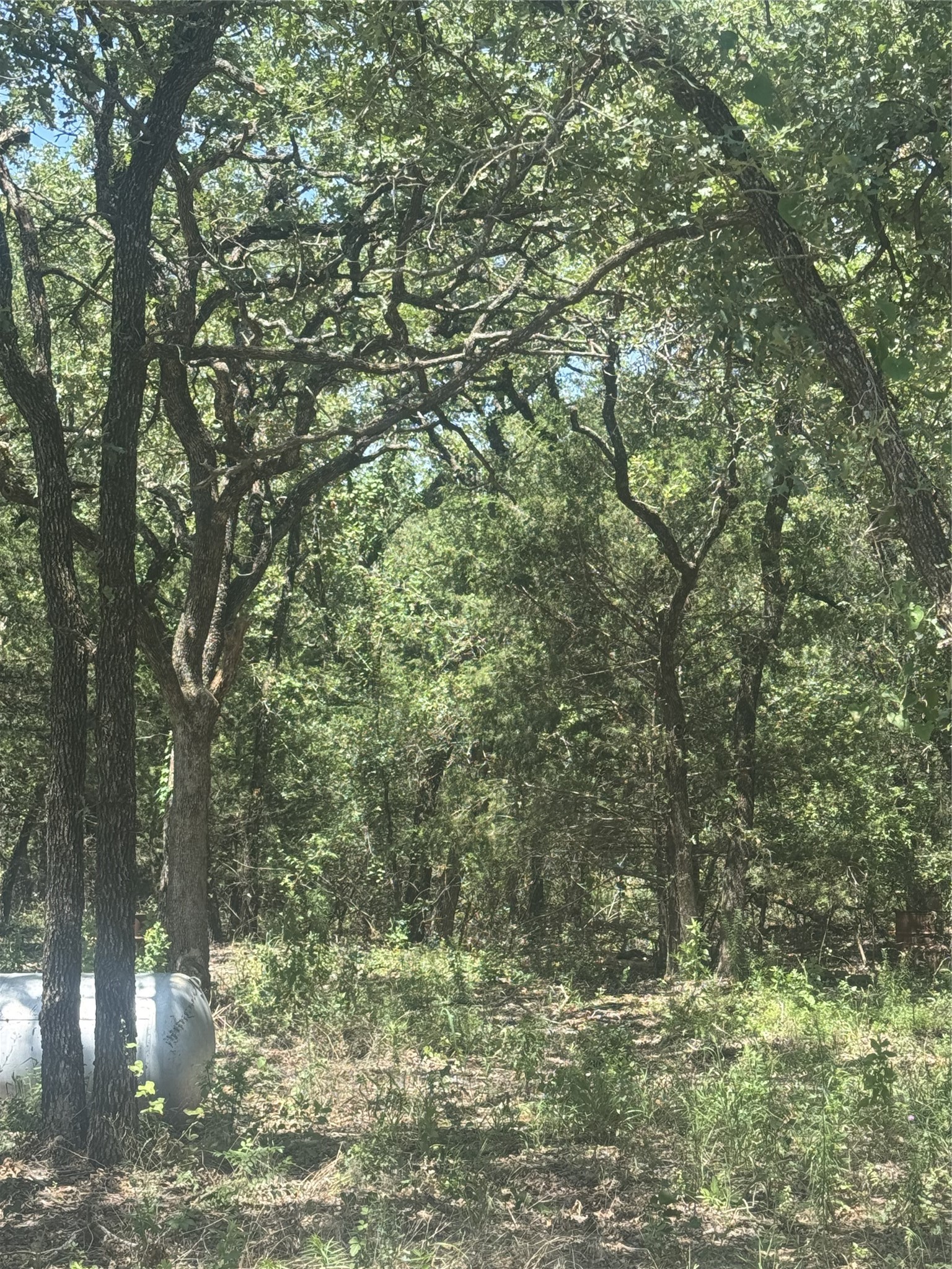 500 Pr 3204 Bridgeport TX 76426
