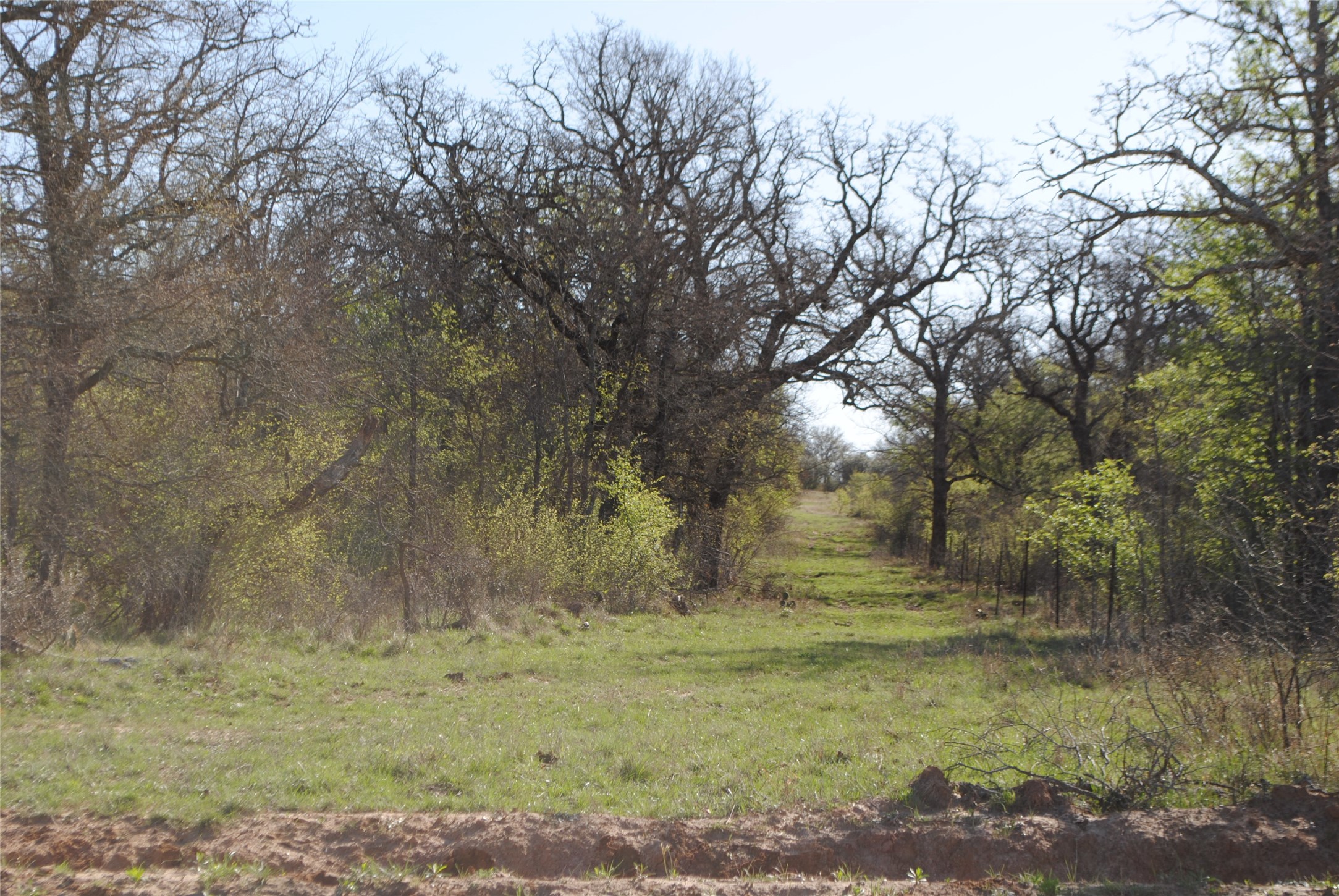 2100 Fm 591 Dublin TX 76446