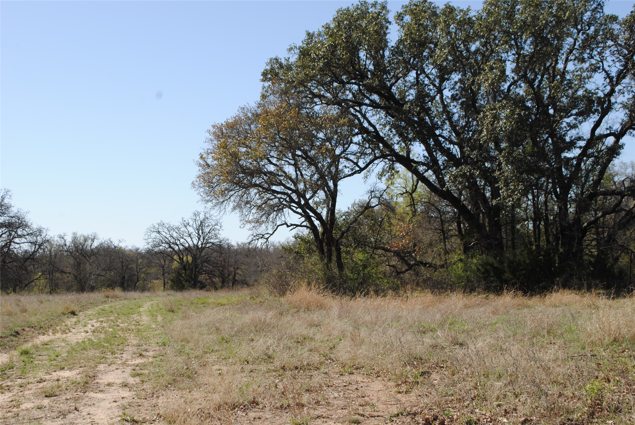 2100 Fm 591 Dublin TX 76446