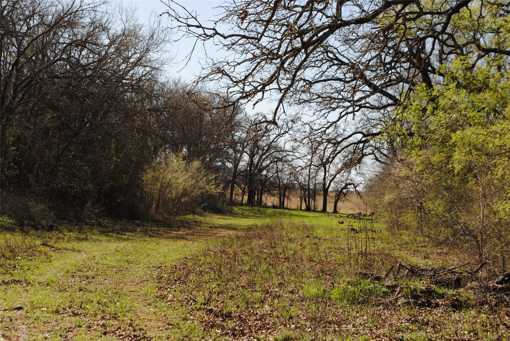 2100 Fm 591 Dublin TX 76446