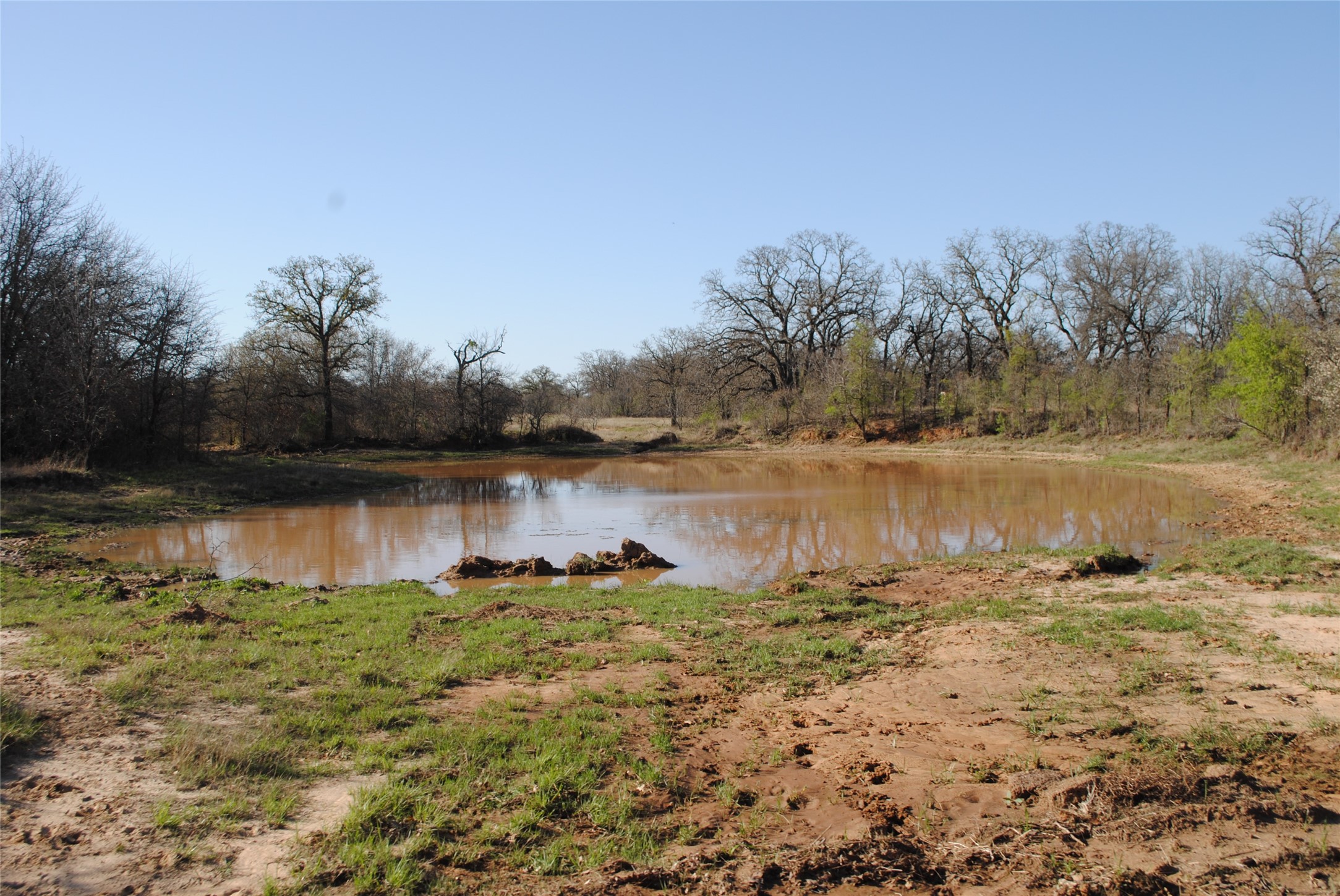 2100 Fm 591 Dublin TX 76446