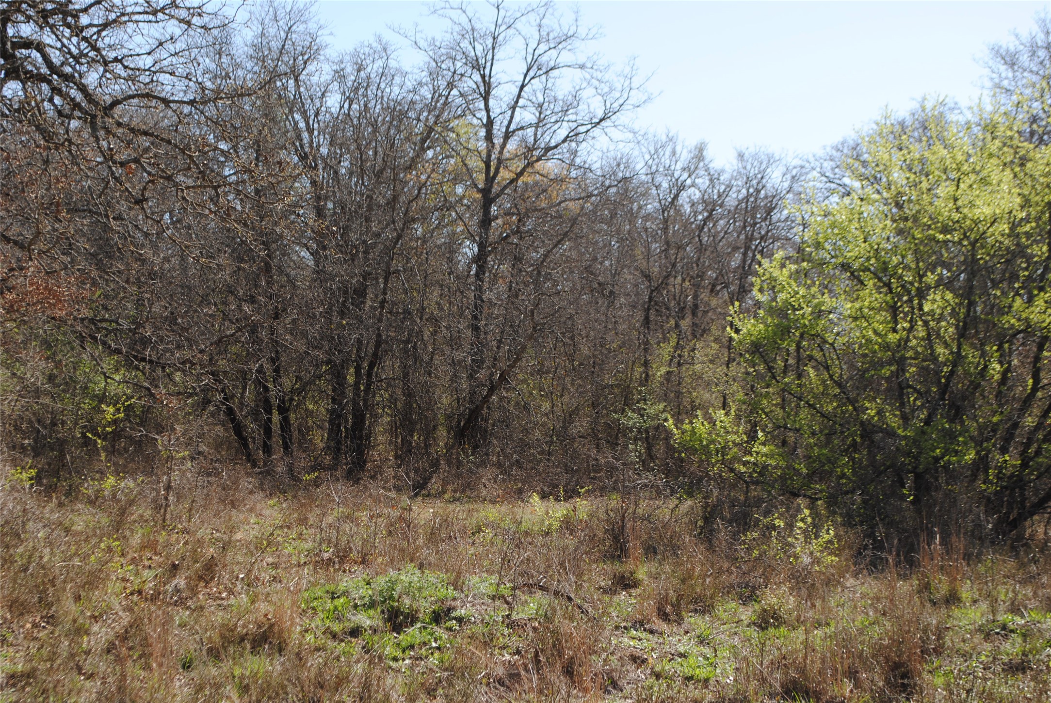 2100 Fm 591 Dublin TX 76446