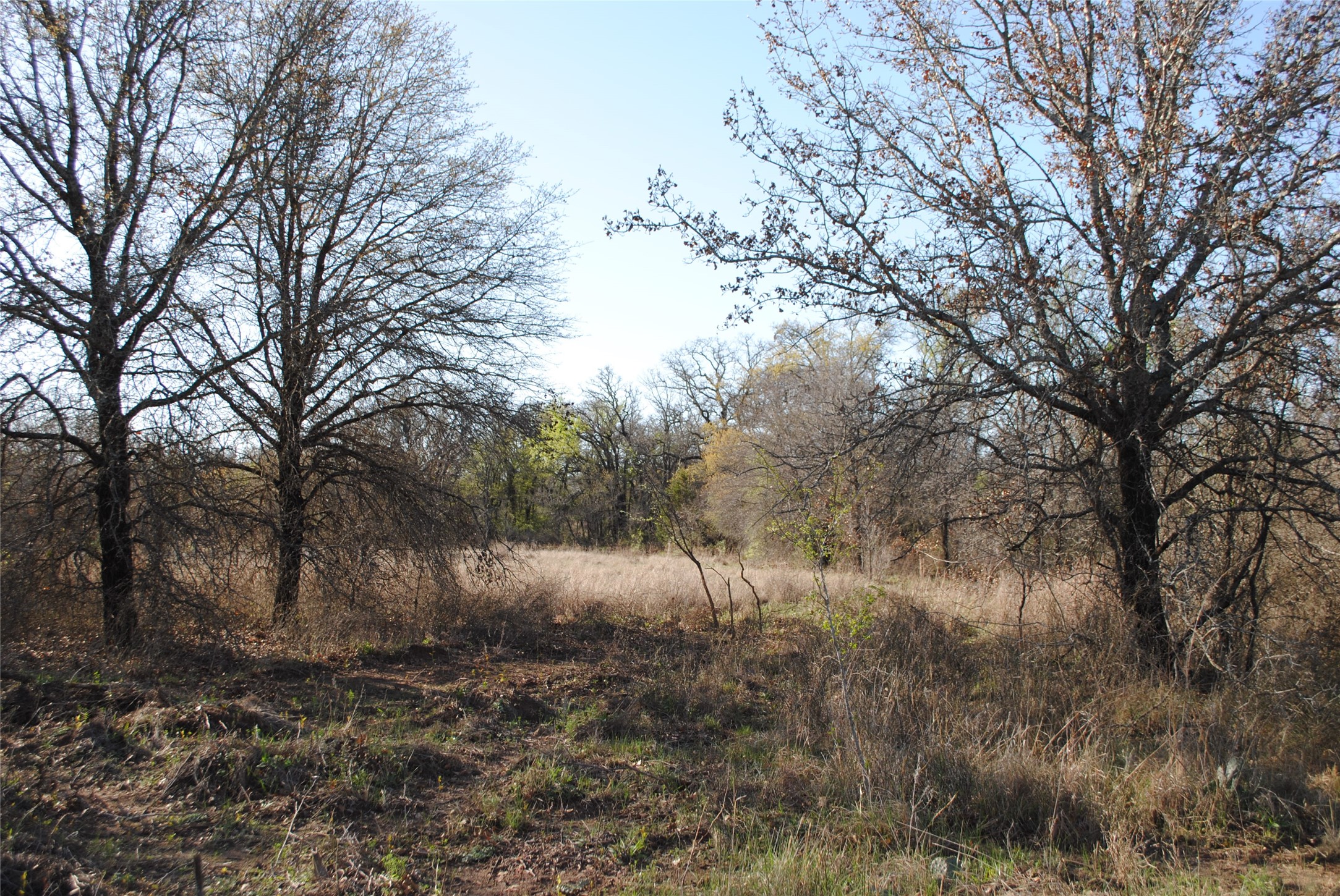2100 Fm 591 Dublin TX 76446