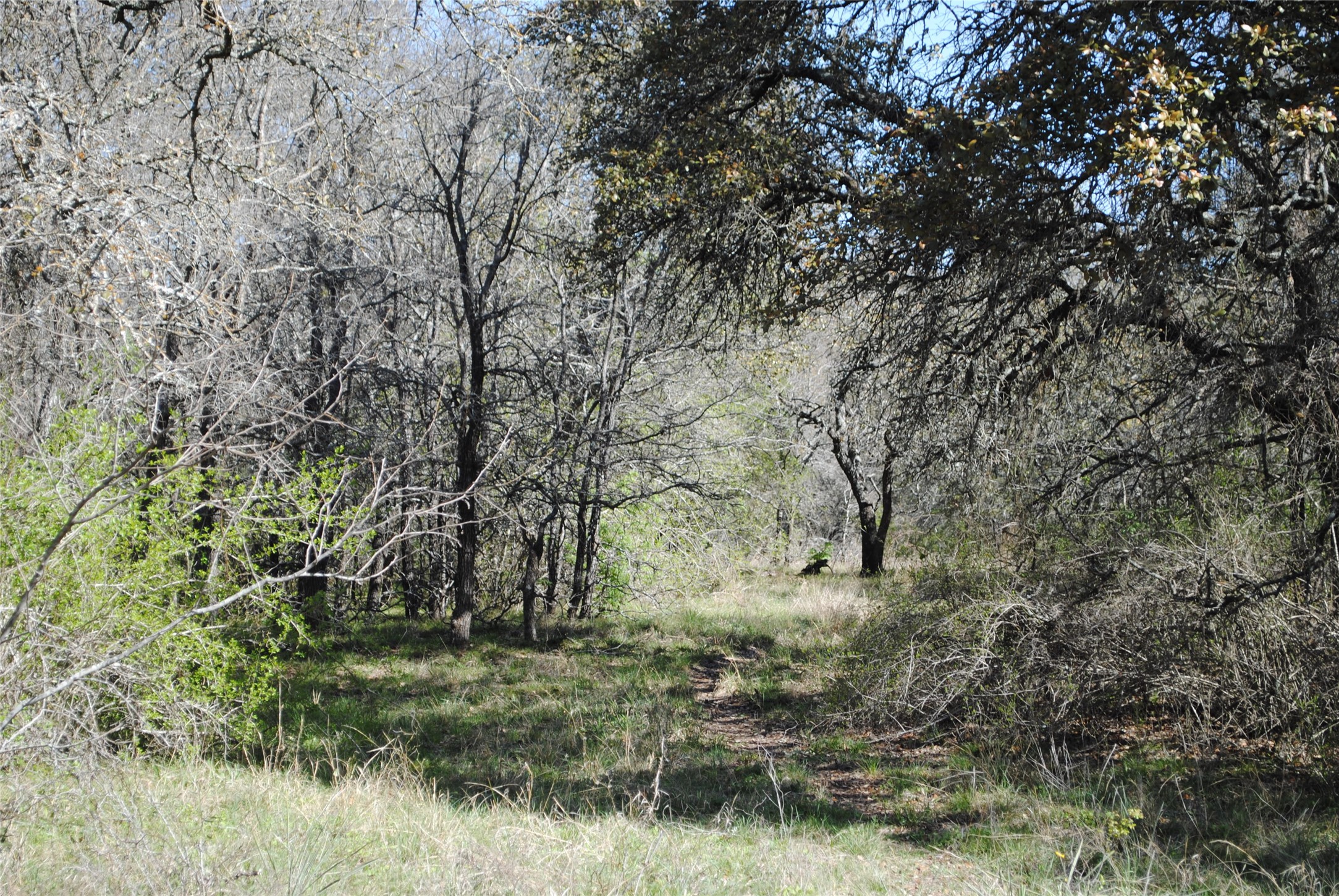 2100 Fm 591 Dublin TX 76446