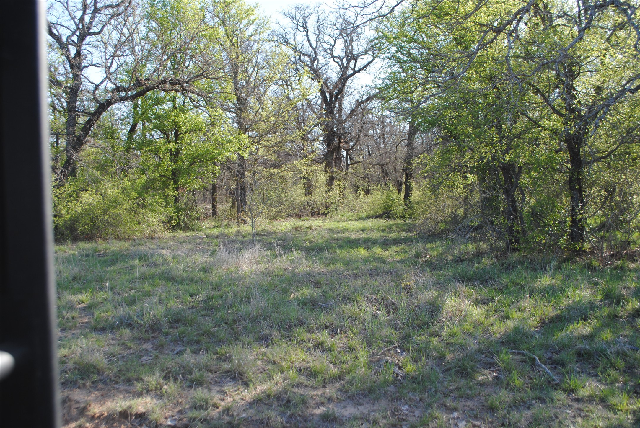 2100 Fm 591 Dublin TX 76446
