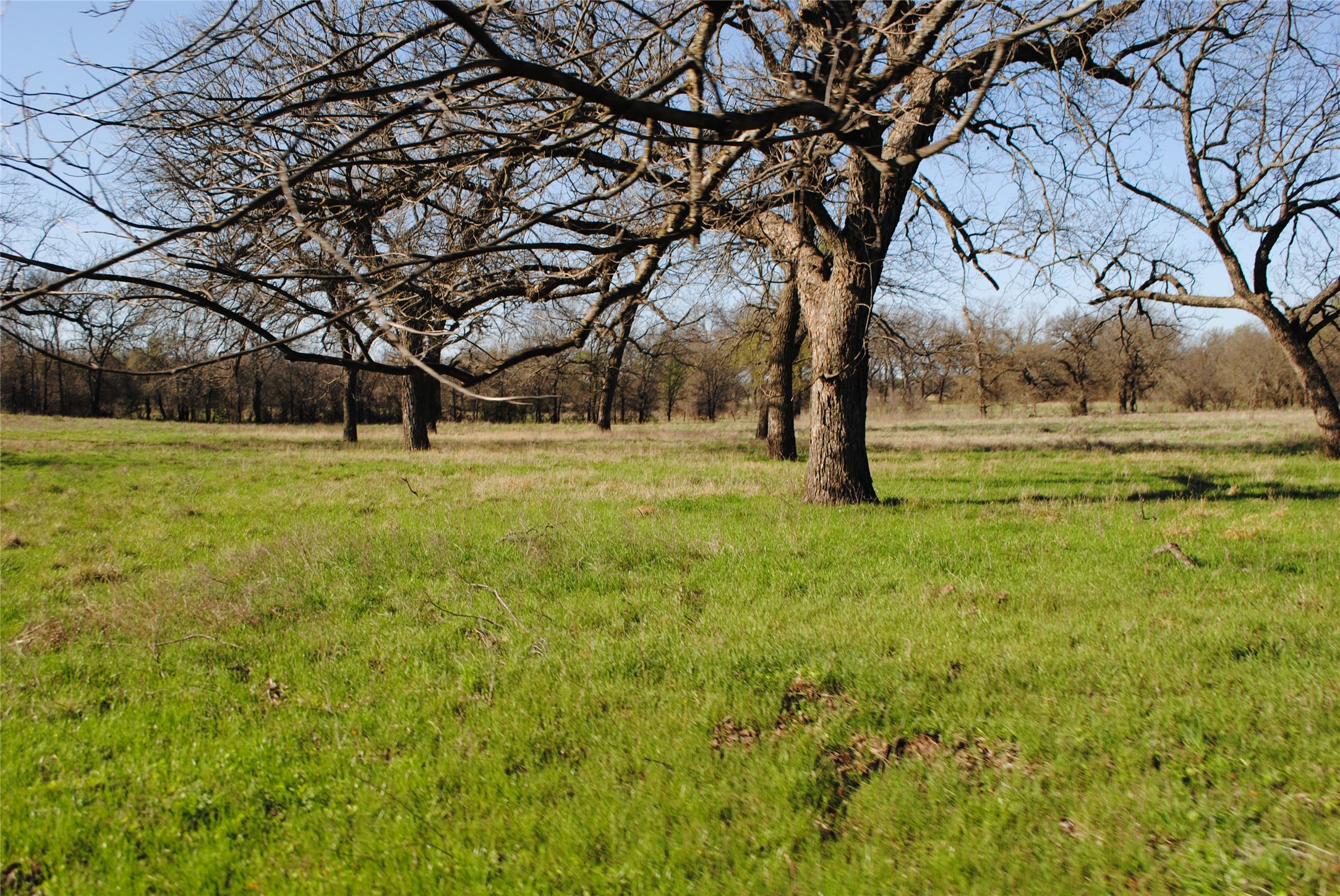 2100 Fm 591 Dublin TX 76446