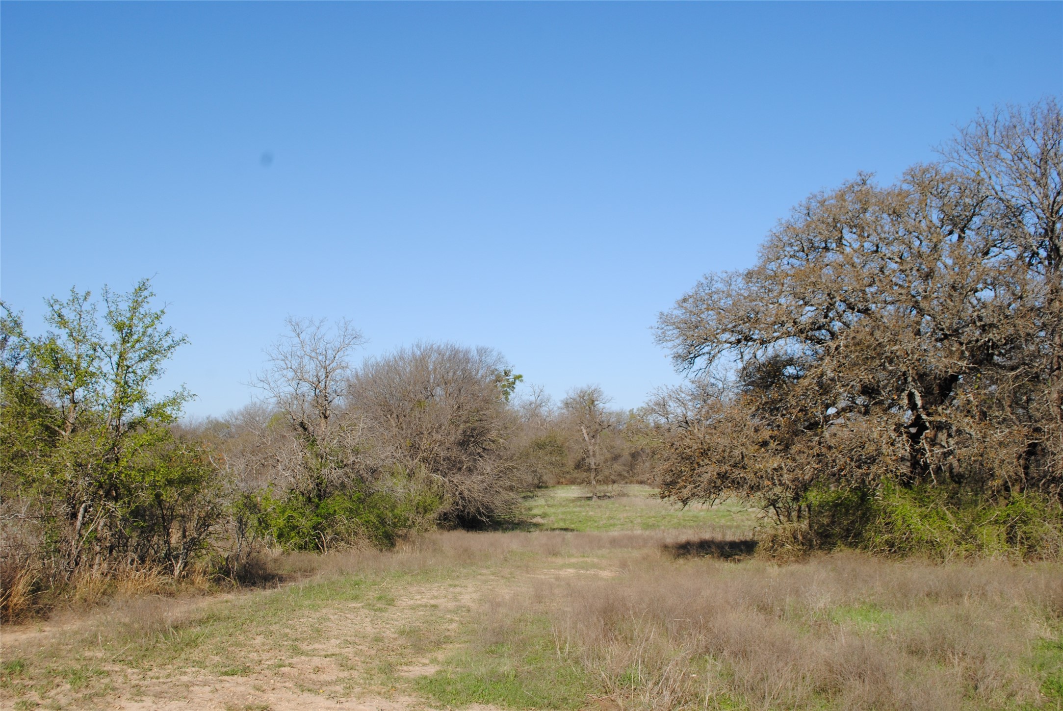 2100 Fm 591 Dublin TX 76446