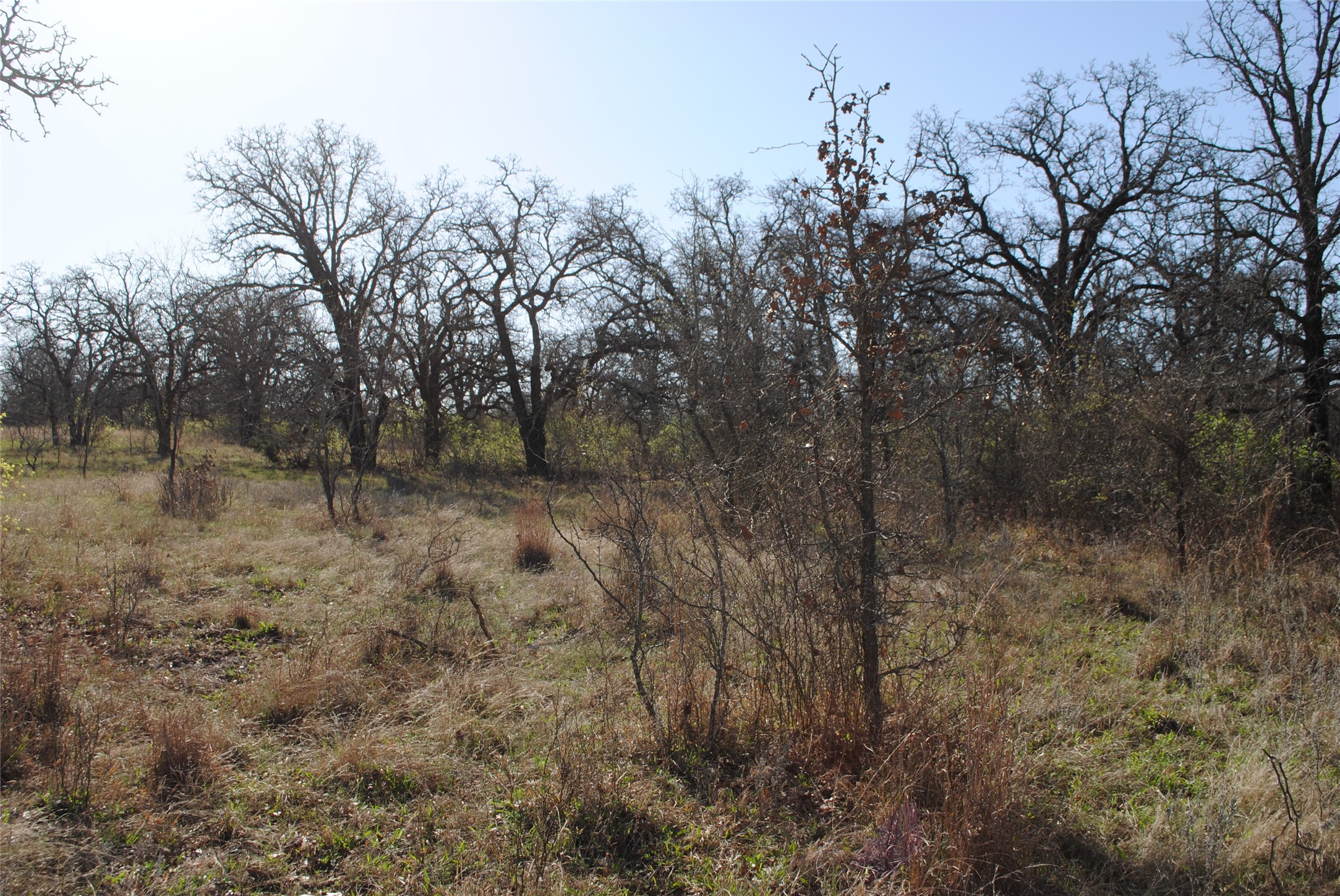 2100 Fm 591 Dublin TX 76446