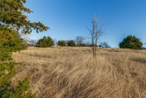 Tbd County Road 317 Mckinney TX 75069