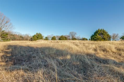 Tbd County Road 317 Mckinney TX 75069