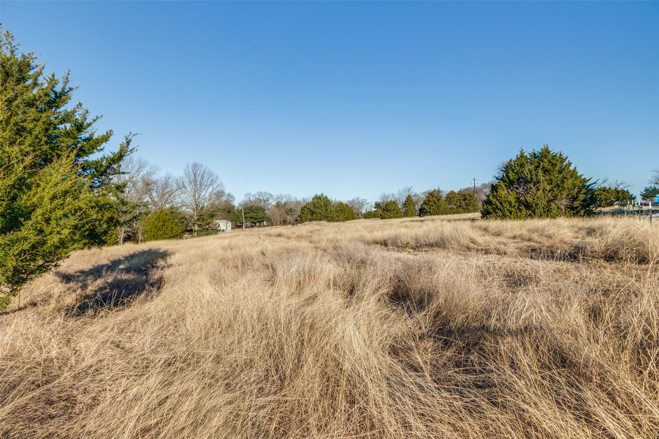 Tbd County Road 317 Mckinney TX 75069