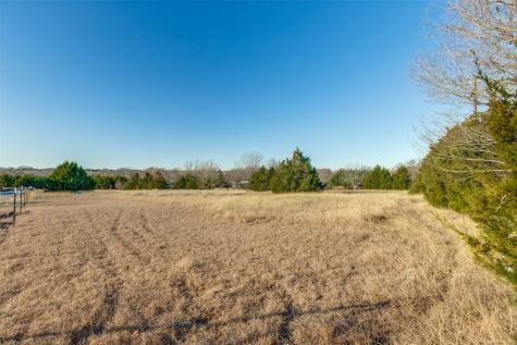 Tbd County Road 317 Mckinney TX 75069
