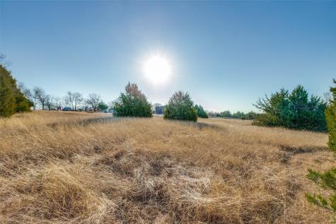 Tbd County Road 317 Mckinney TX 75069