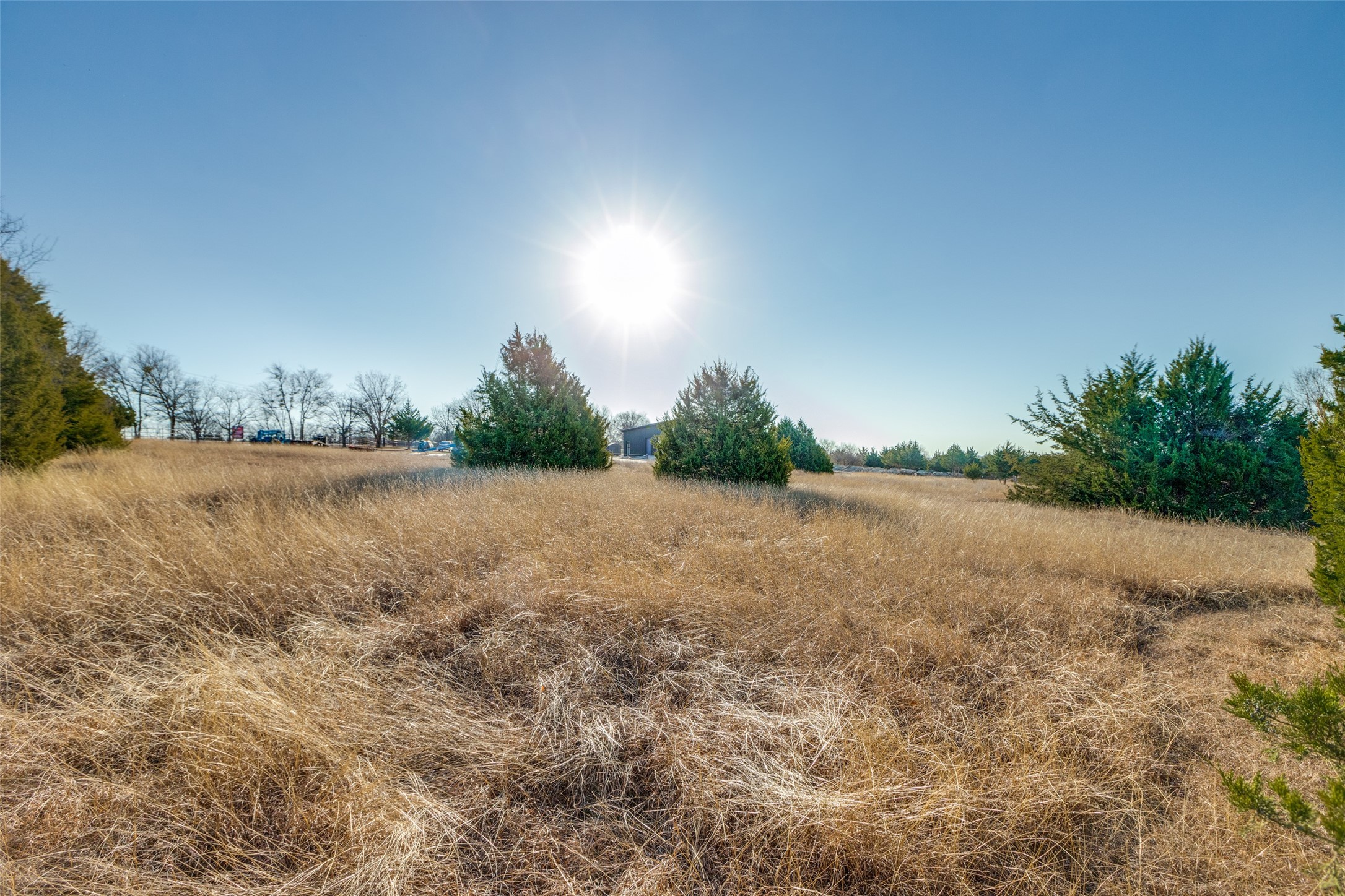 Tbd County Road 317 Mckinney TX 75069