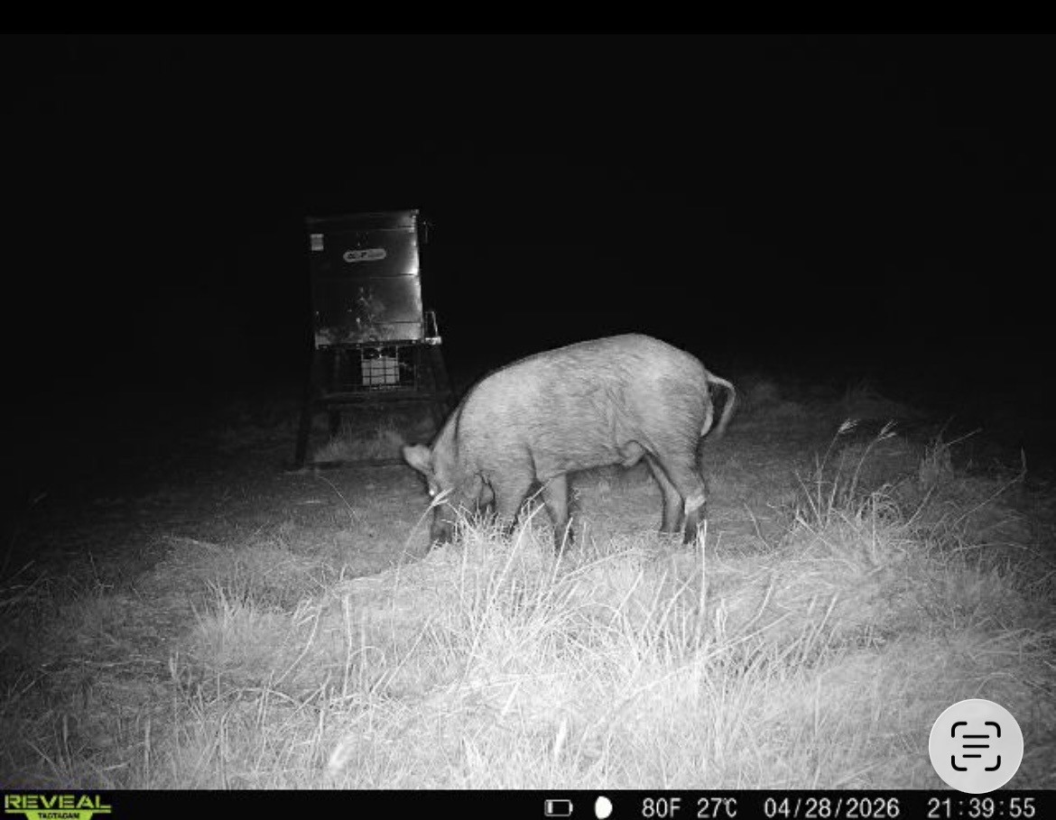 Tbd Cr 139 Gatesville TX 76528