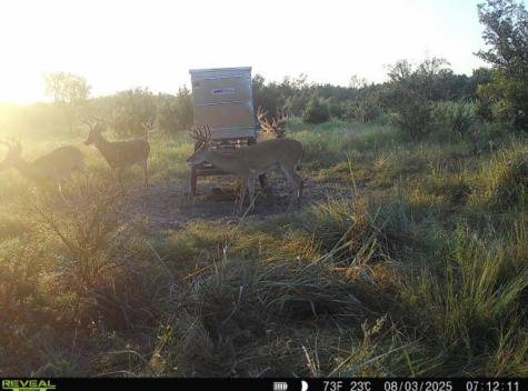 Tbd Cr 139 Gatesville TX 76528