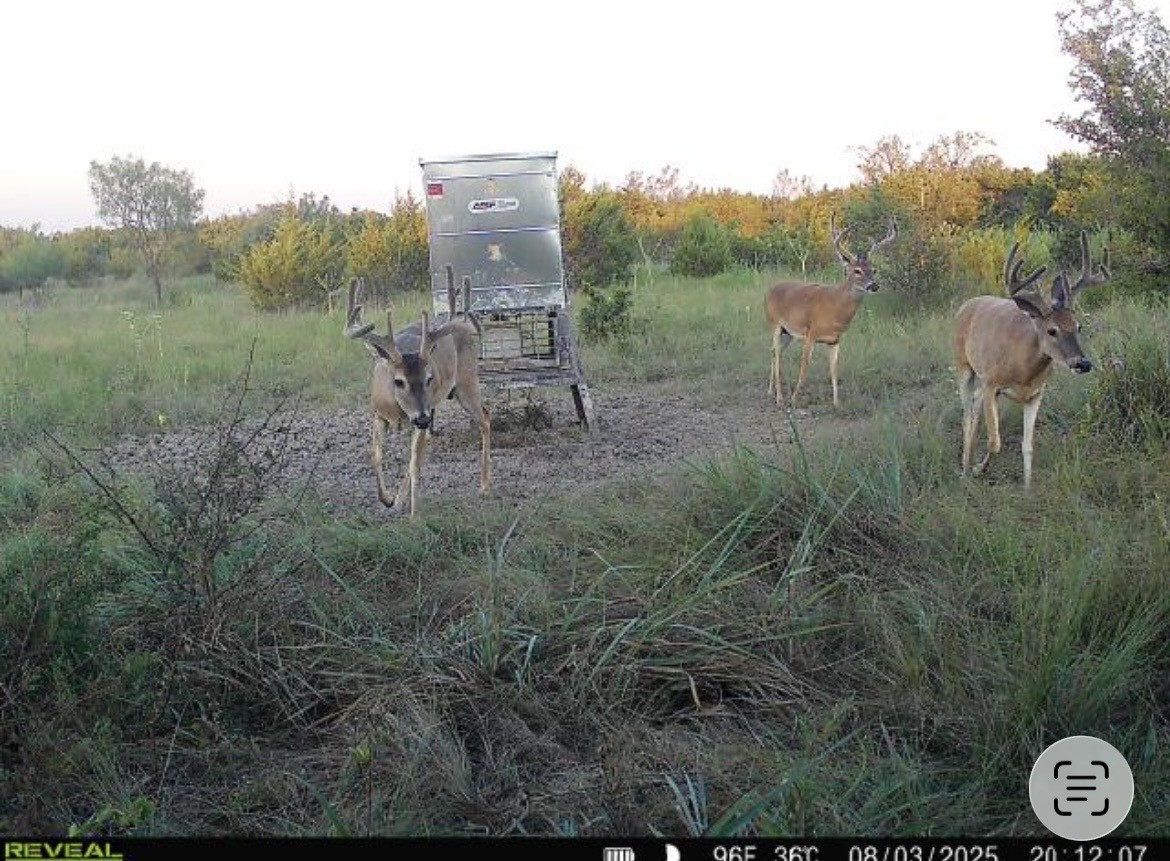 Tbd Cr 139 Gatesville TX 76528