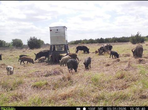 TBD Cr 139 Gatesville TX 76528