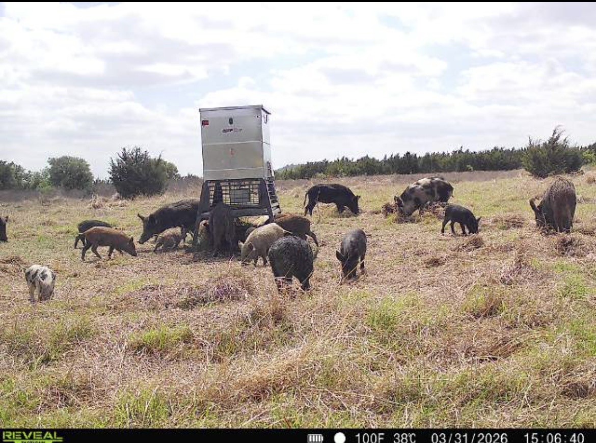 Tbd Cr 139 Gatesville TX 76528