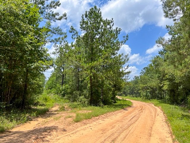 0 T-8 County Road 1425 Woodville TX 75979
