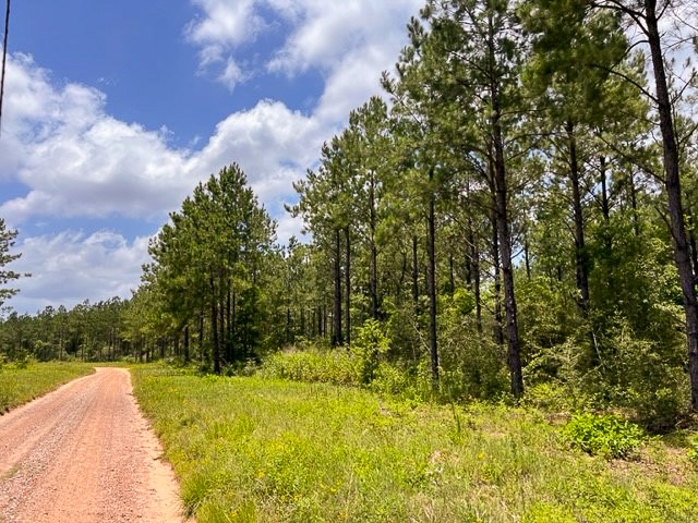 0 T-8 County Road 1425 Woodville TX 75979