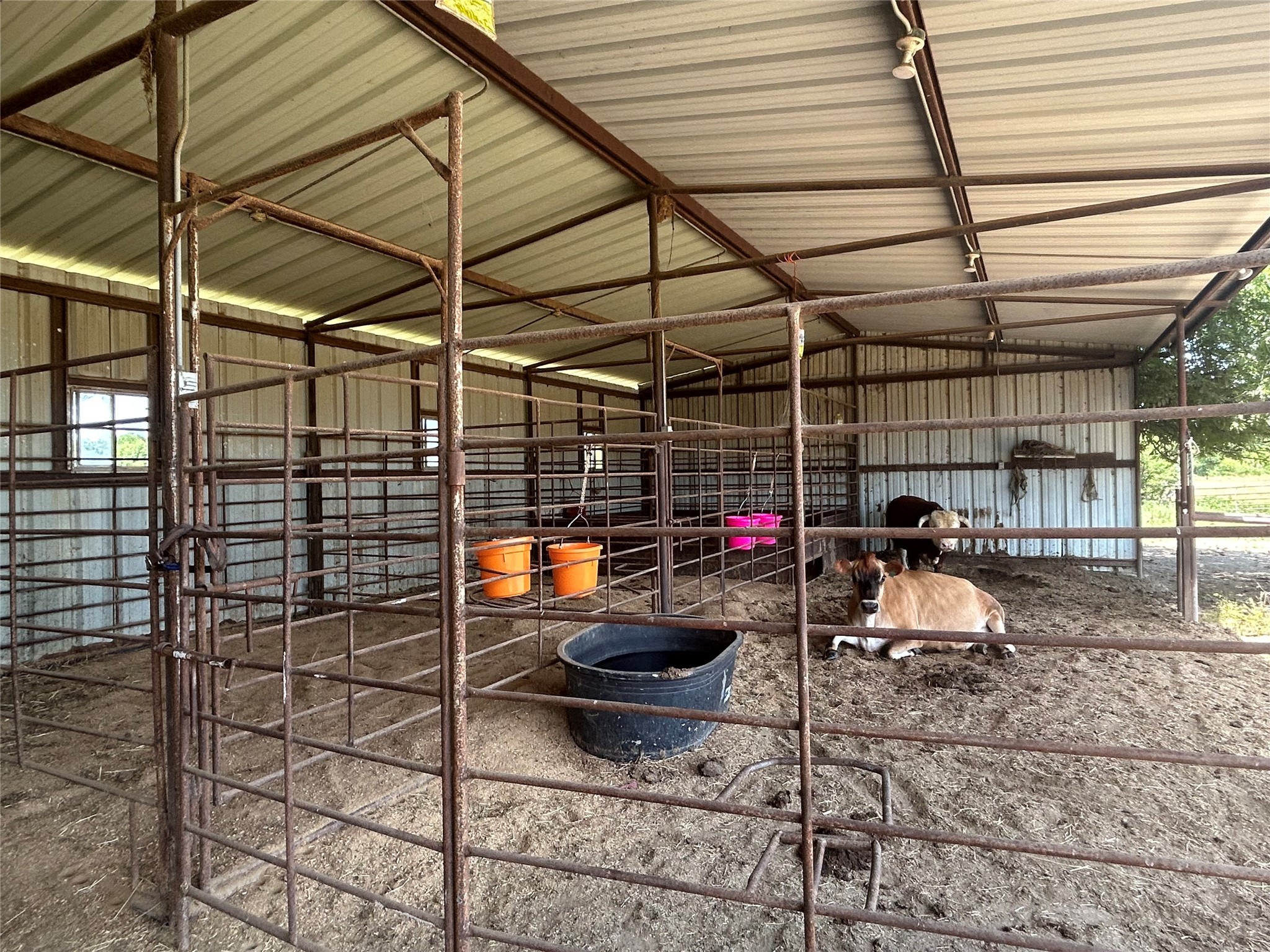 3201 Fm 2194 Farmersville TX 75442