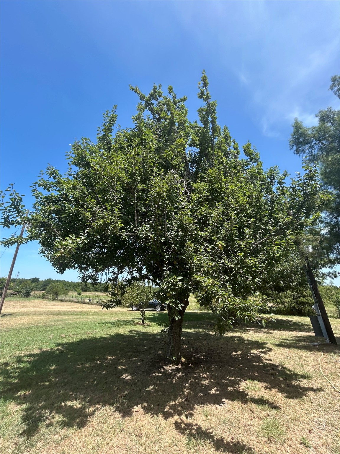 3201 Fm 2194 Farmersville TX 75442