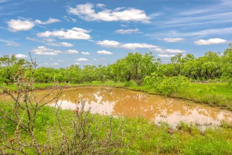 Tbd Cr 133 Moran TX 76464