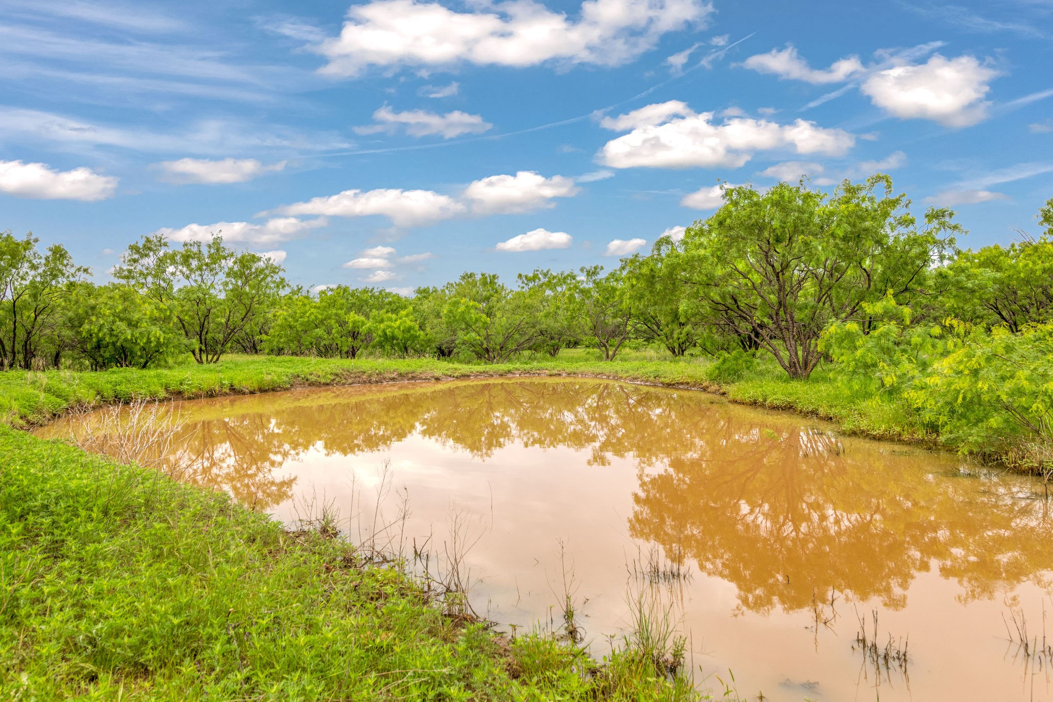 Tbd Cr 133 Moran TX 76464