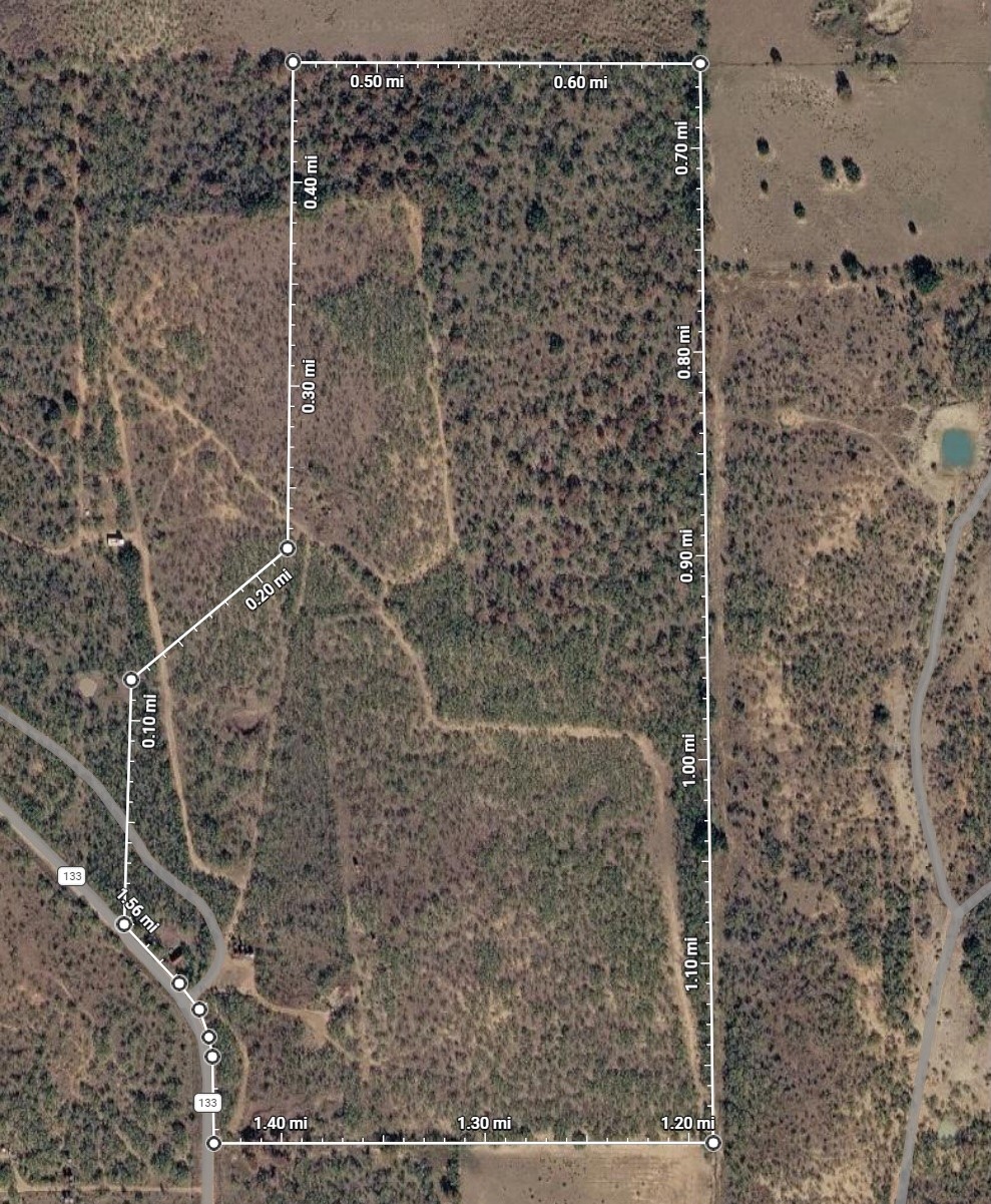 Tbd Cr 133 Moran TX 76464