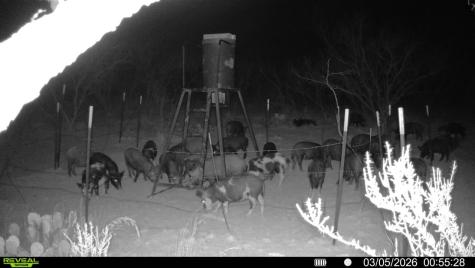Tbd Cr 133 Moran TX 76464