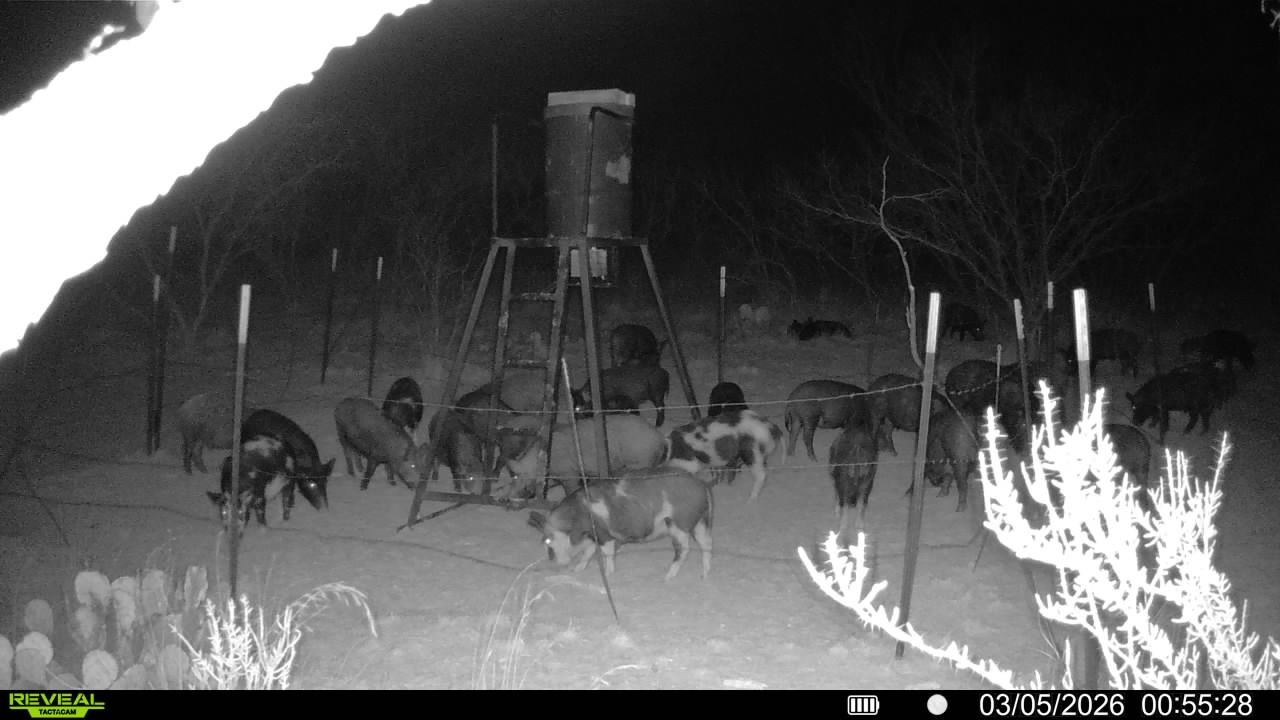 Tbd Cr 133 Moran TX 76464