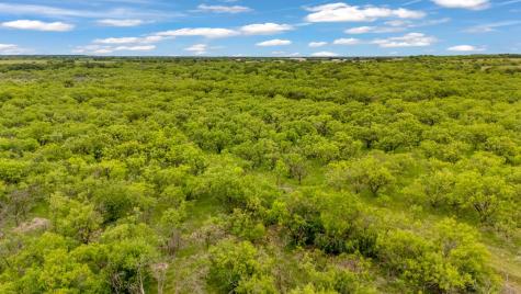 Tbd Cr 133 Moran TX 76464