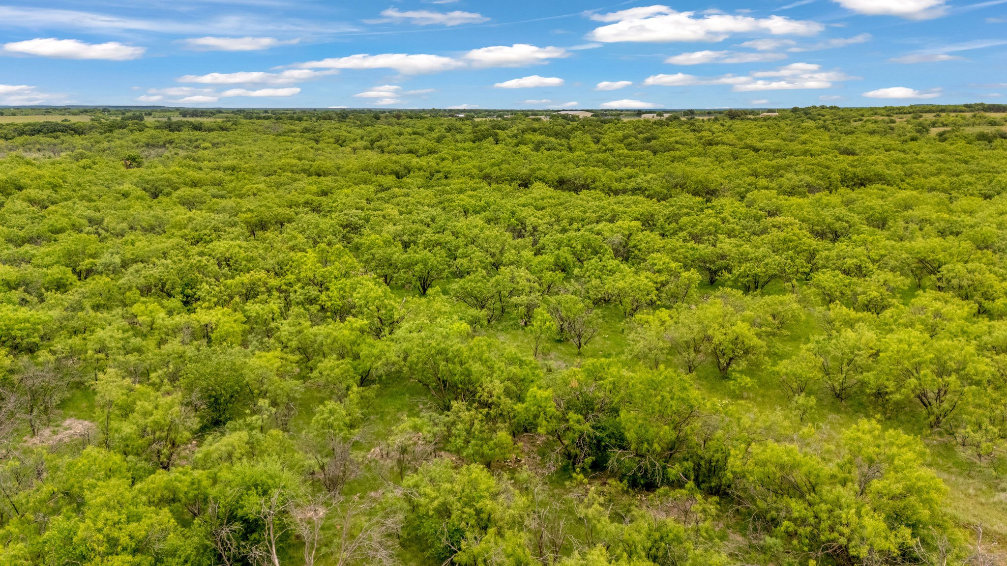 Tbd Cr 133 Moran TX 76464