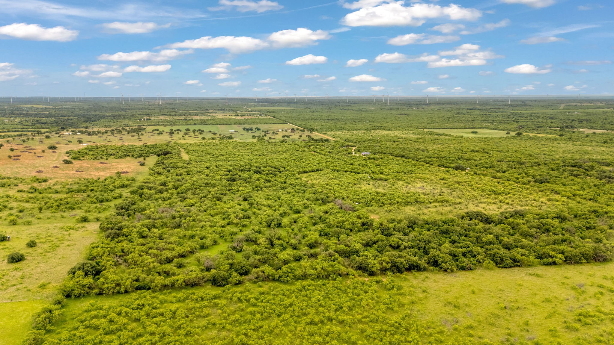 Tbd Cr 133 Moran TX 76464
