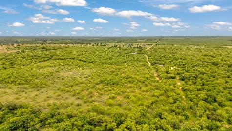 Tbd Cr 133 Moran TX 76464
