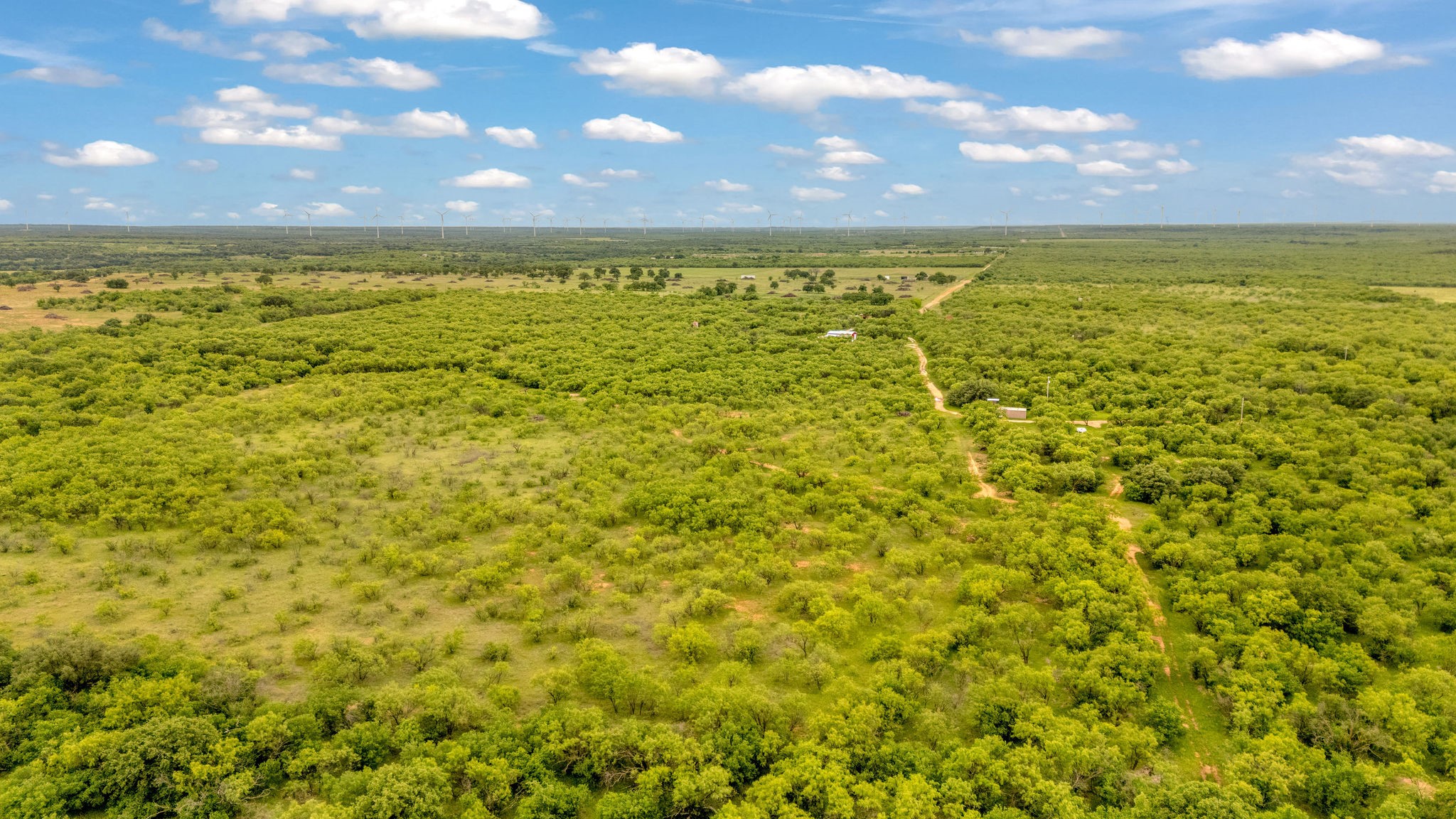 Tbd Cr 133 Moran TX 76464
